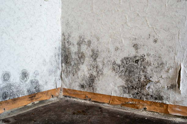 Water Damage Restoration in Grantsville, UT